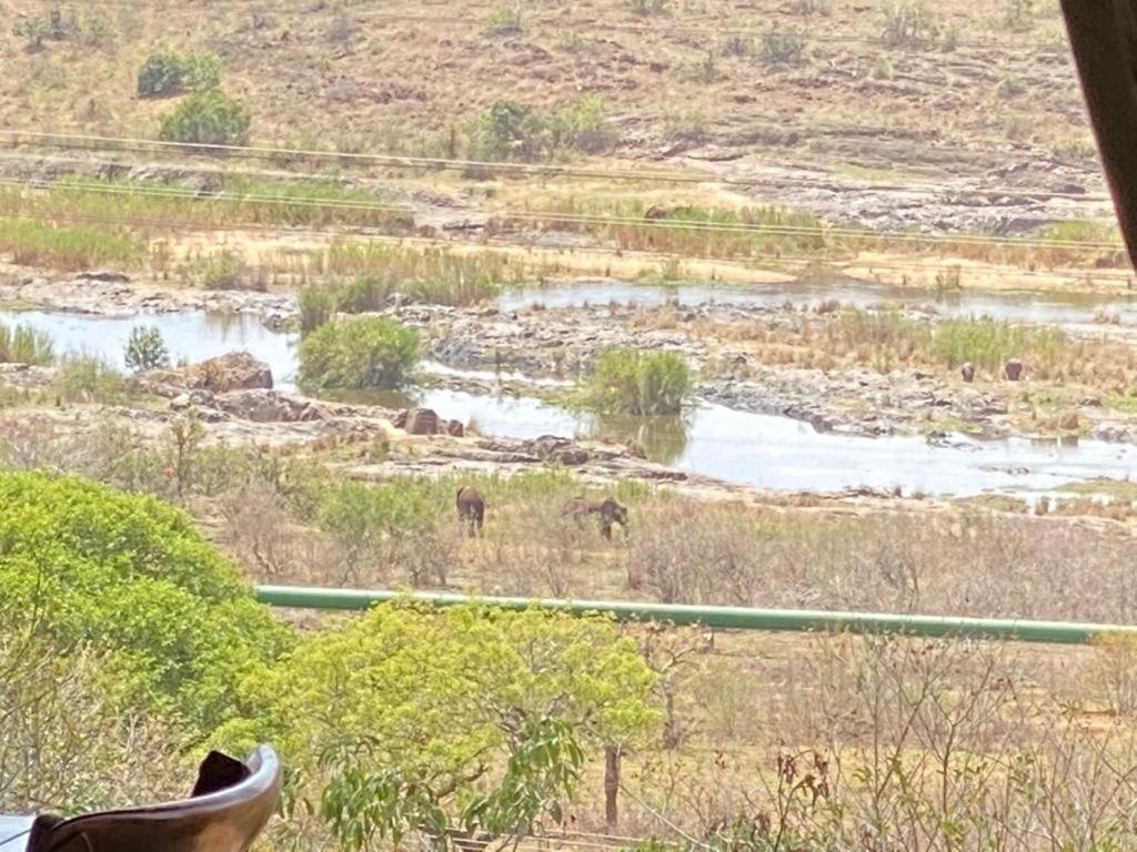 Croc River Lodge Коматипорт Экстерьер фото