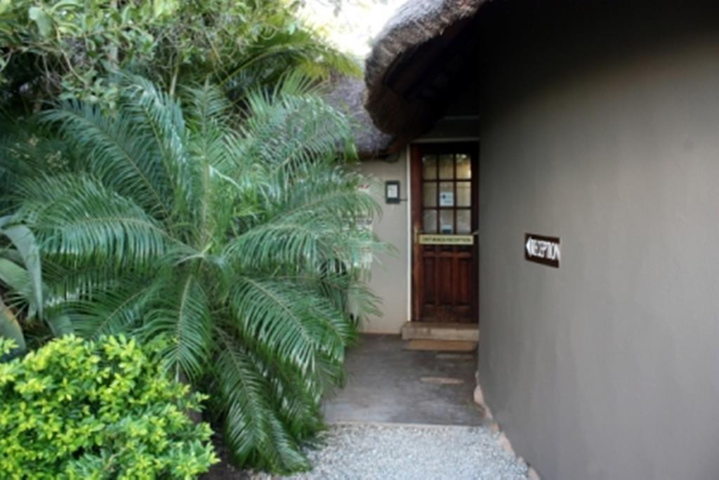 Croc River Lodge Коматипорт Экстерьер фото